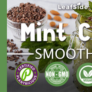 Mint Chip Smoothie