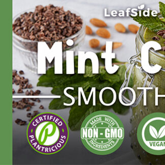 Mint Chip Smoothie